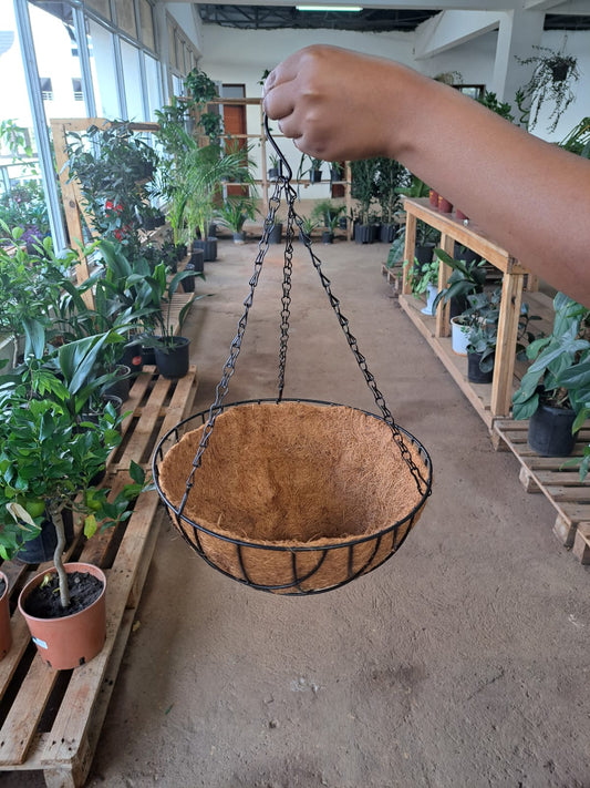 Coco coir hanging planter