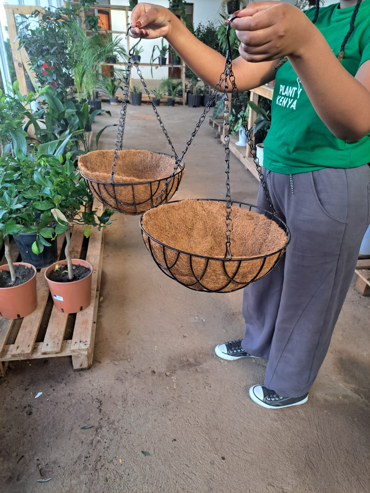 Coco coir hanging planter