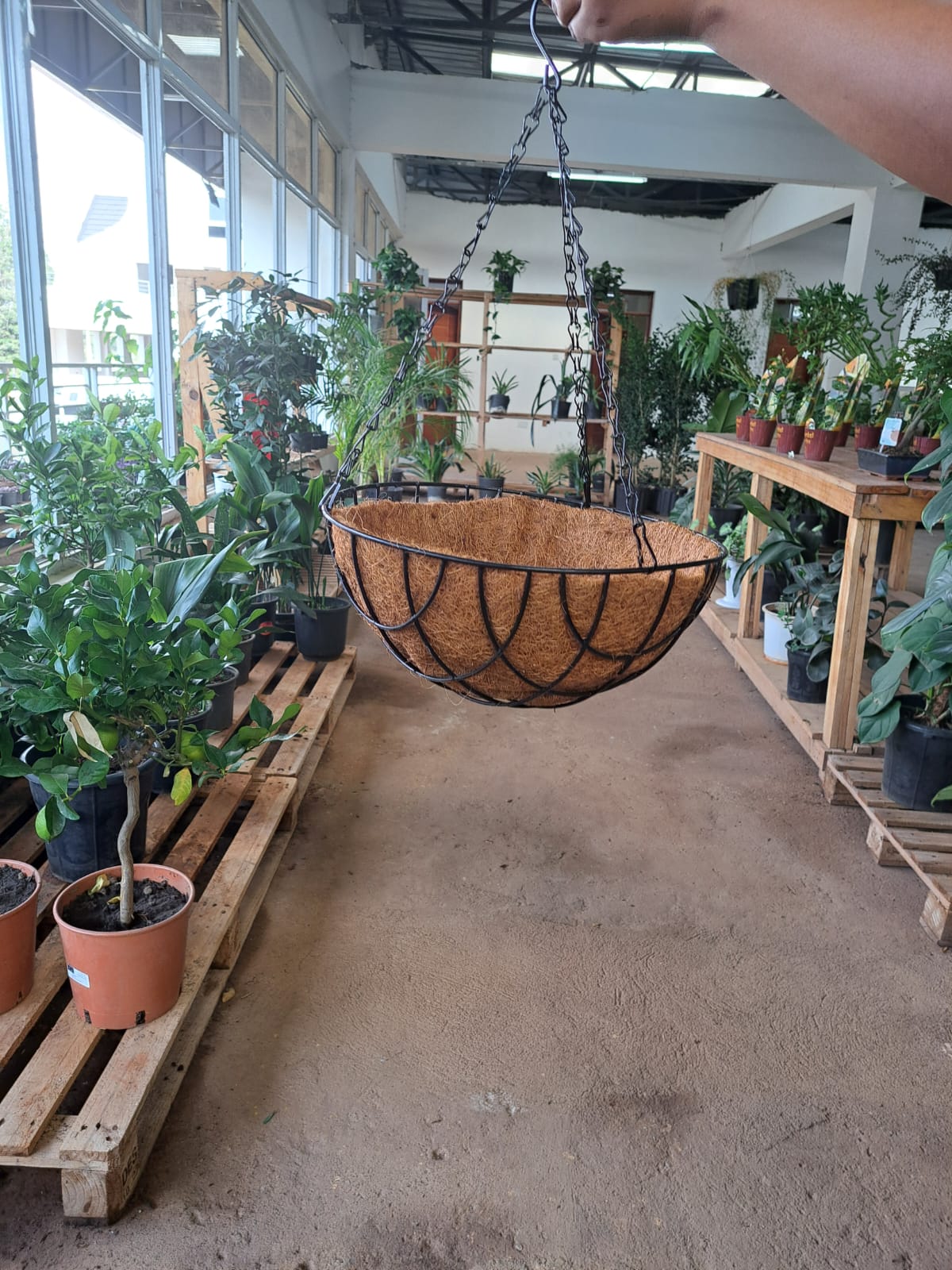 Coco coir hanging planter