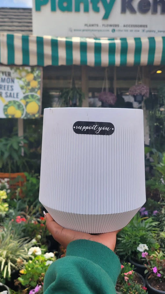Plastic Planters