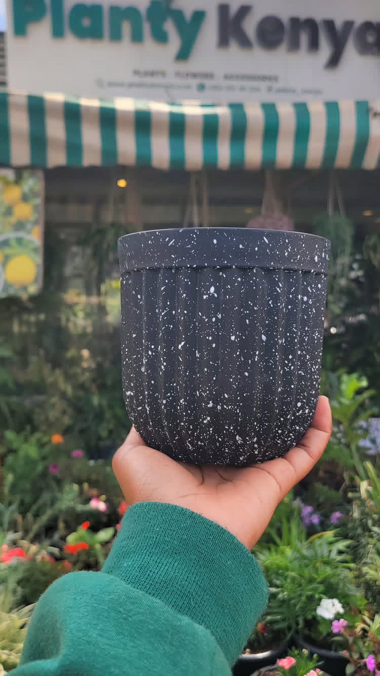 Plastic Planters