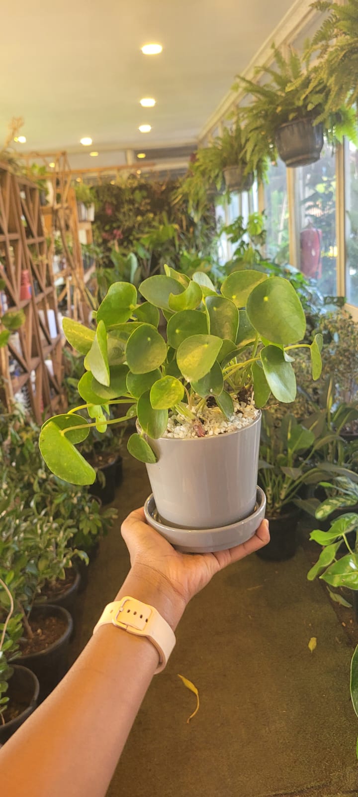 Chinese Money in ceramic