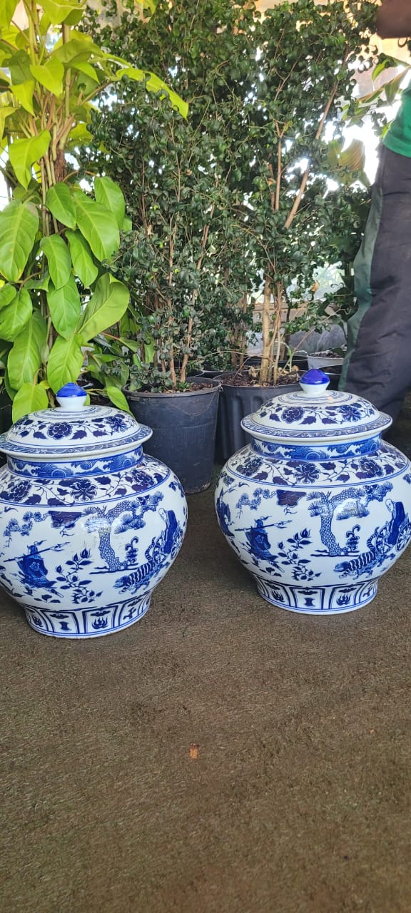 Blue and White Chinese Porcelain Jars