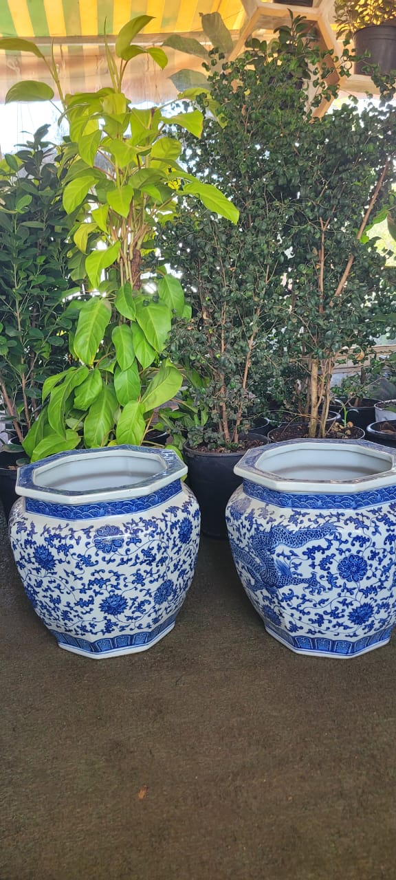 Blue and White Chinese Porcelain Hexagonal pots