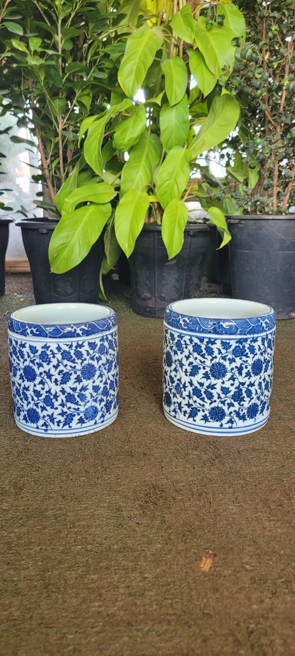 Blue and White Chinese Porcelain Planter