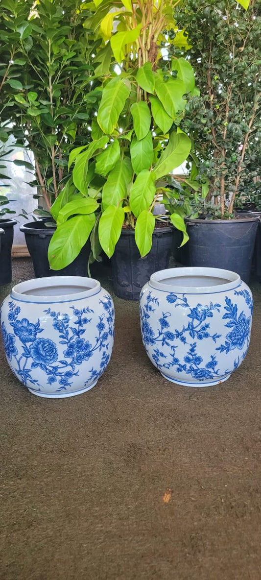 Blue and White Chinese Porcelain Vase