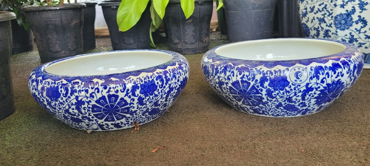 Blue and White Chinese Porcelain Bowl planter