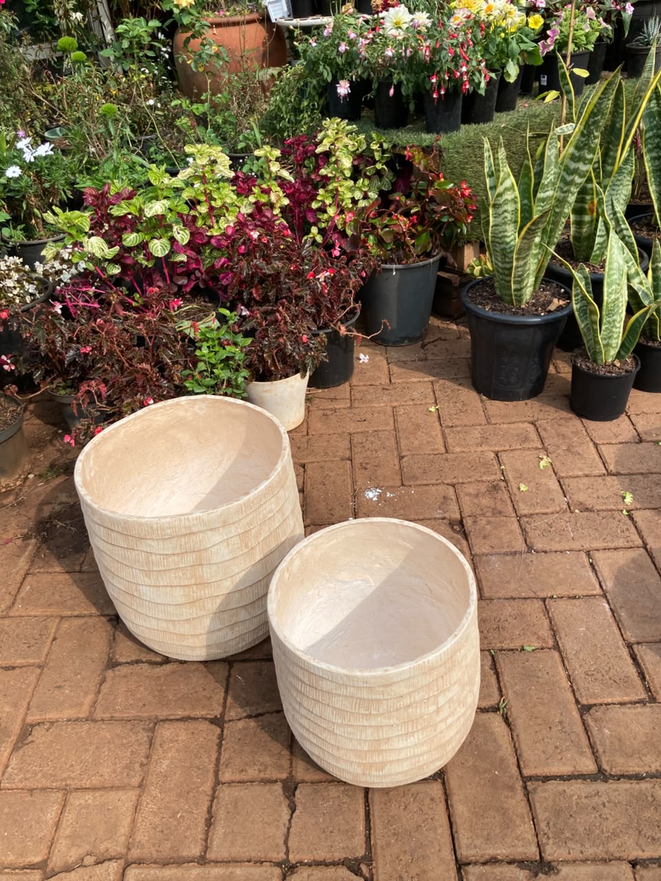 Savanna Sand Fibre clay pot