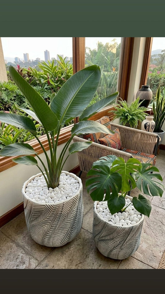 Chevron Leaf Fibre clay pot