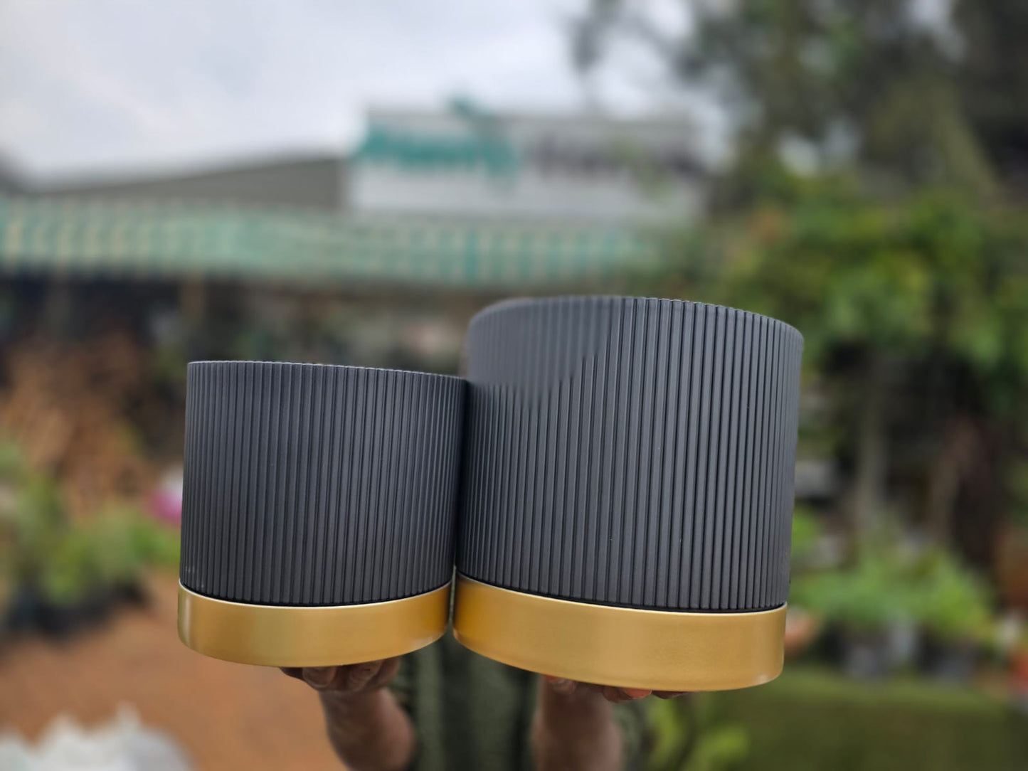 Plastic Pot, Gold Plate