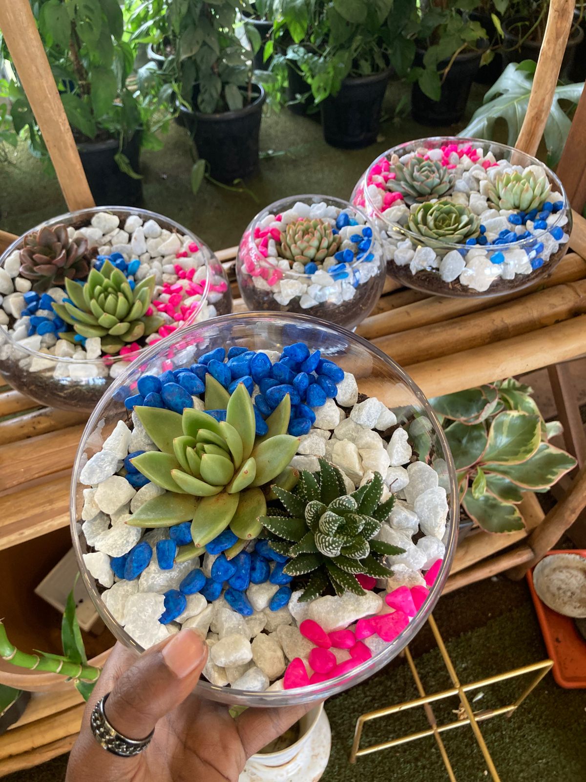 Open Terrarium