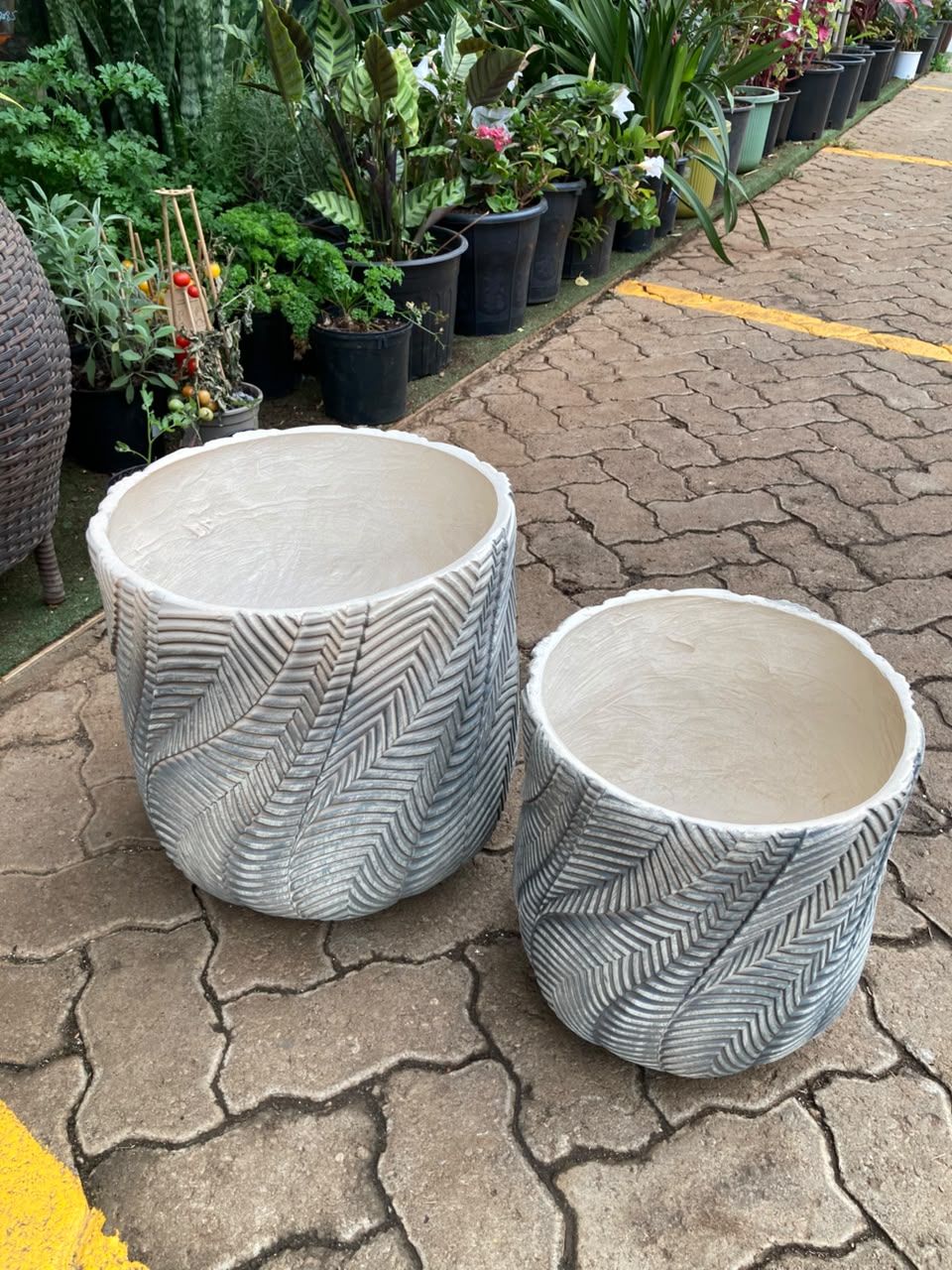 Chevron Leaf Fibre clay pot