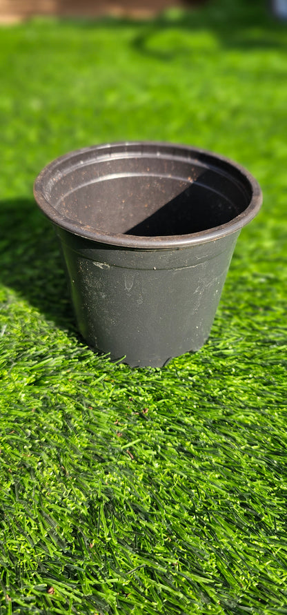 Black circular planters -300ml