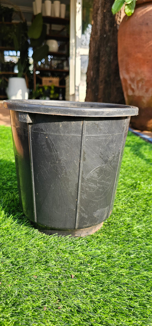 Grow Planter 1