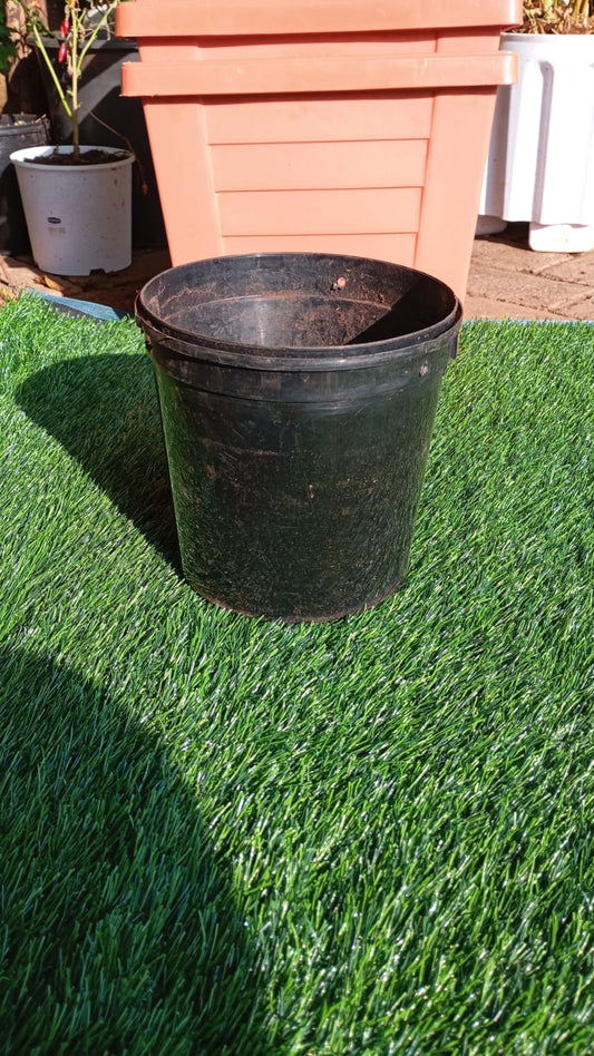 Kasuku Grow Planters