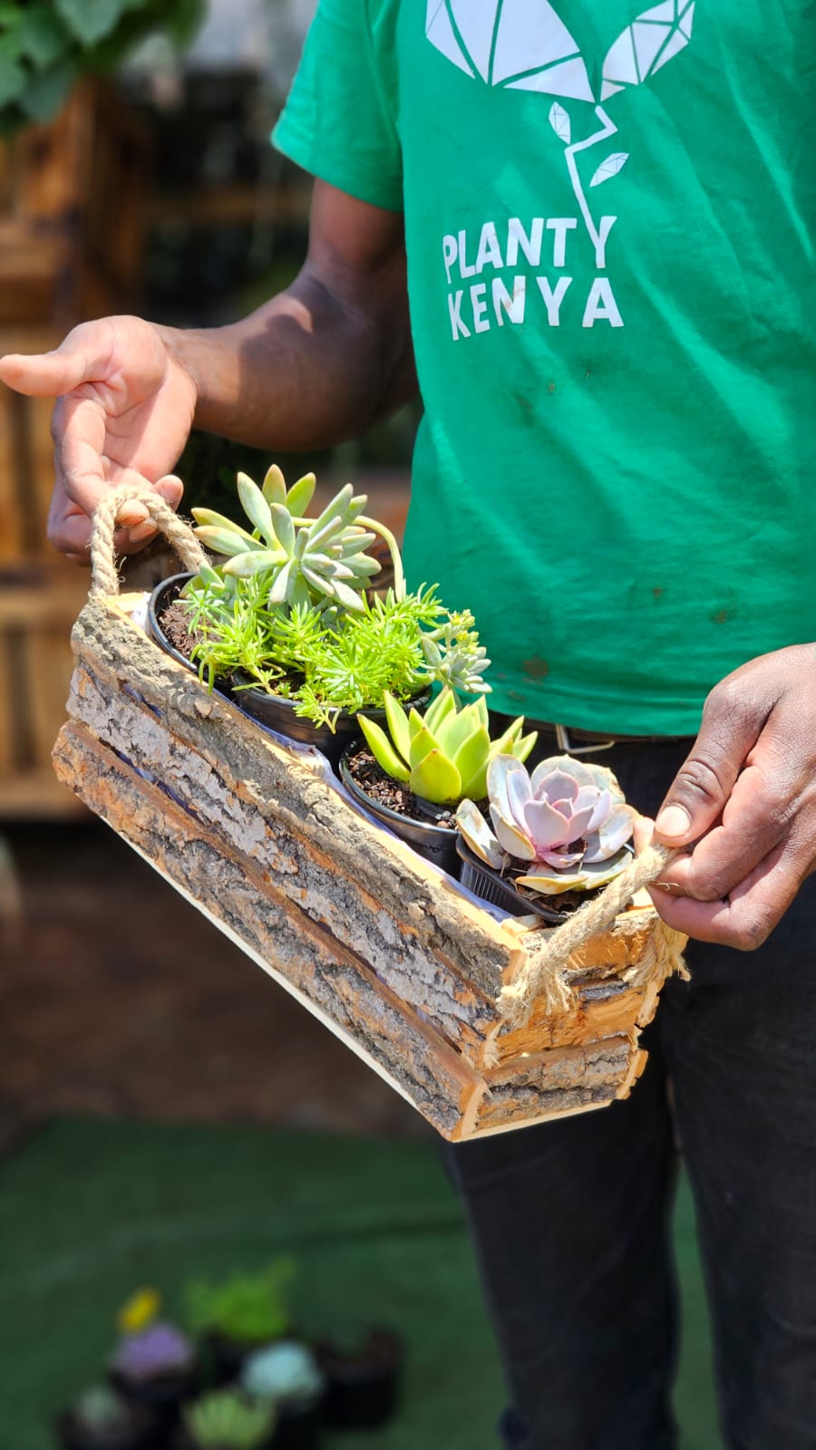 Bark Succulent Trough