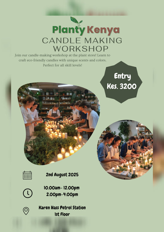 Candle Making Workshop
