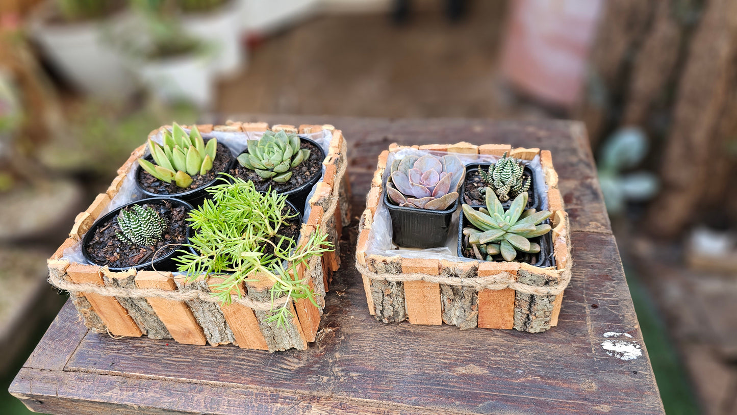 Square Shaped wooden Planter