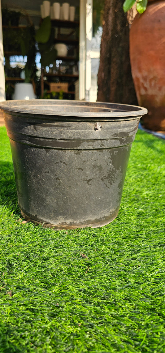 Grow Planter 2