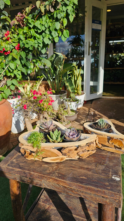 Heart Shaped Wooden Planter troughs