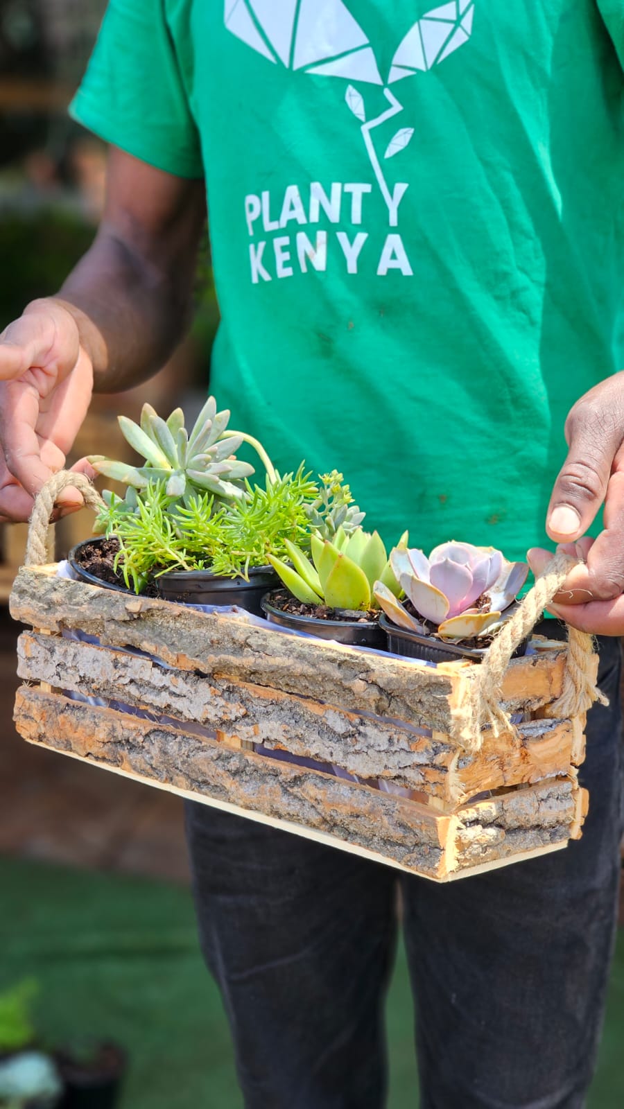 Bark Succulent Trough