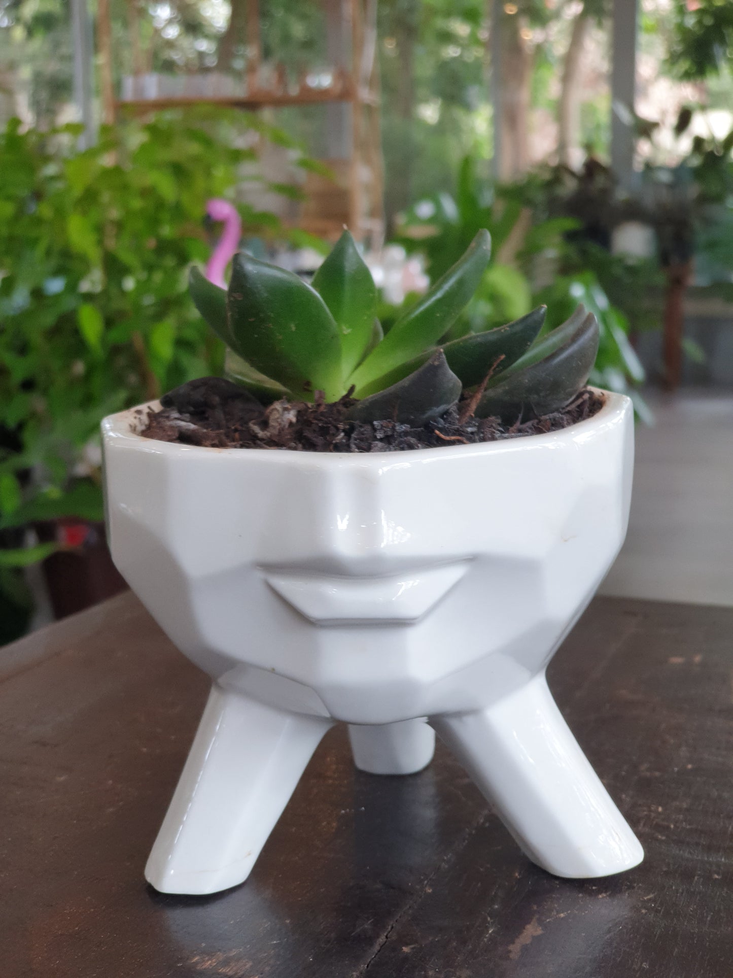 Half Face Planter