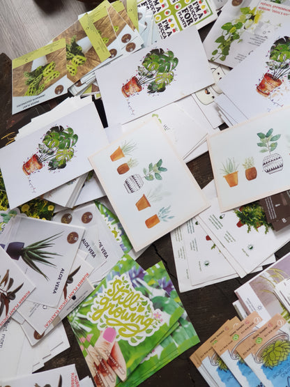 Planty Cards
