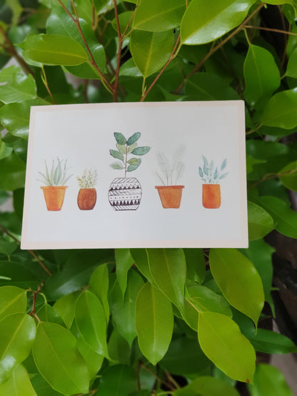 Planty Cards