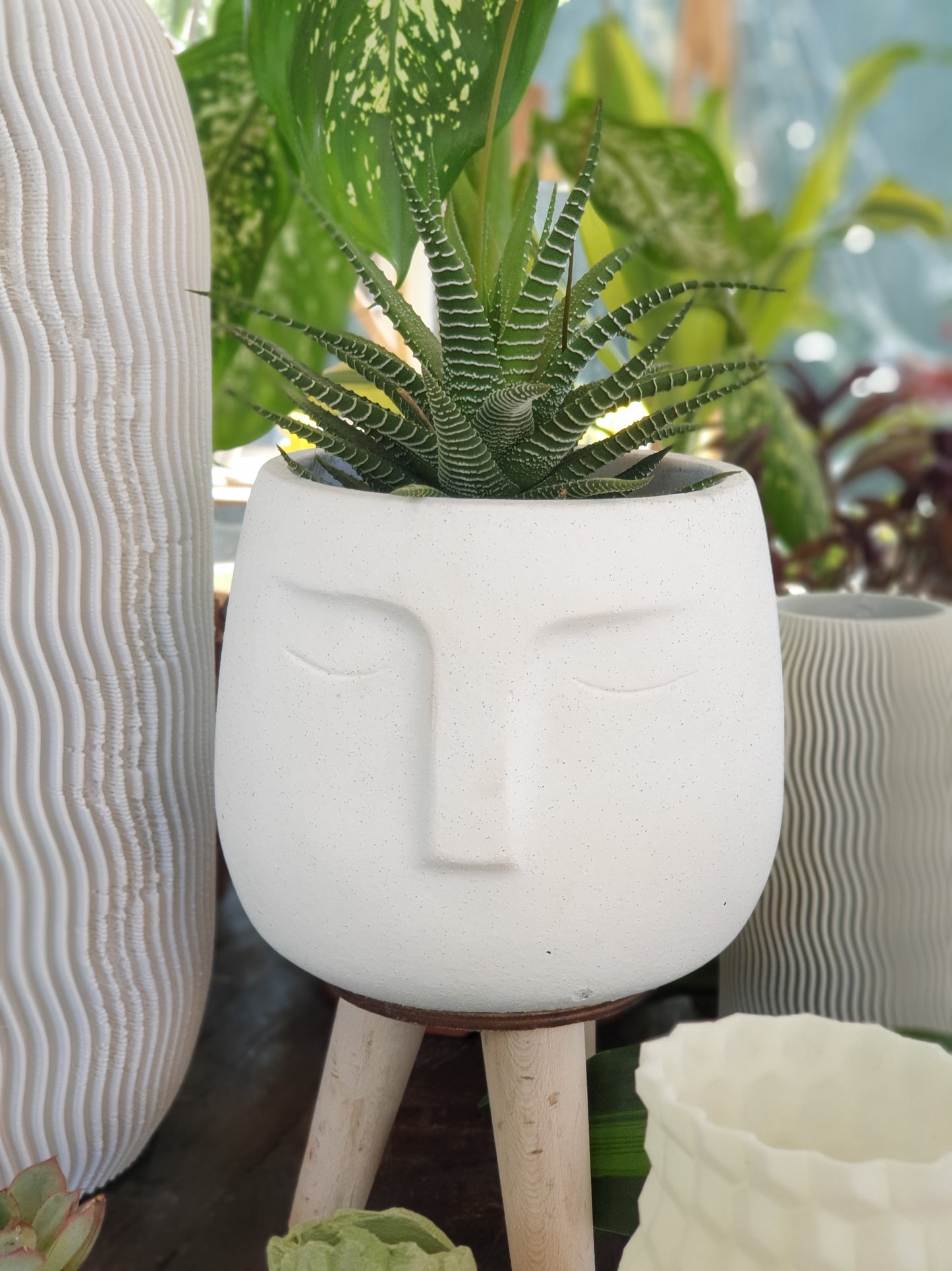 Concrete Face Planter