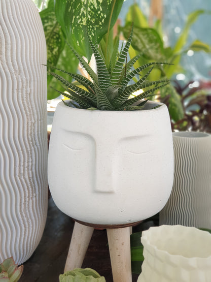 Concrete Face Planter