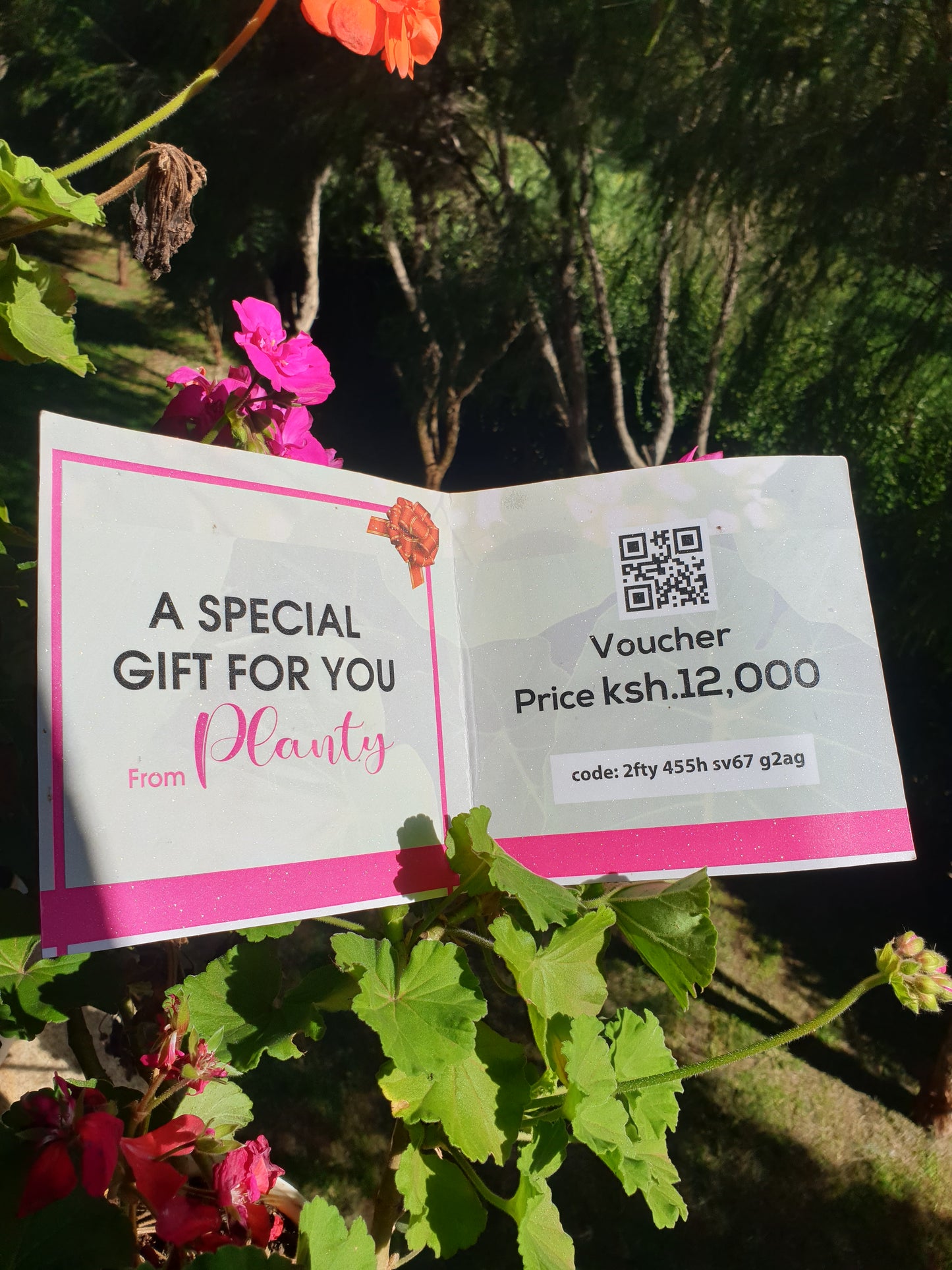 Gift Voucher