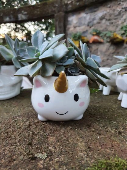 Unicorn Gold Horn Planter