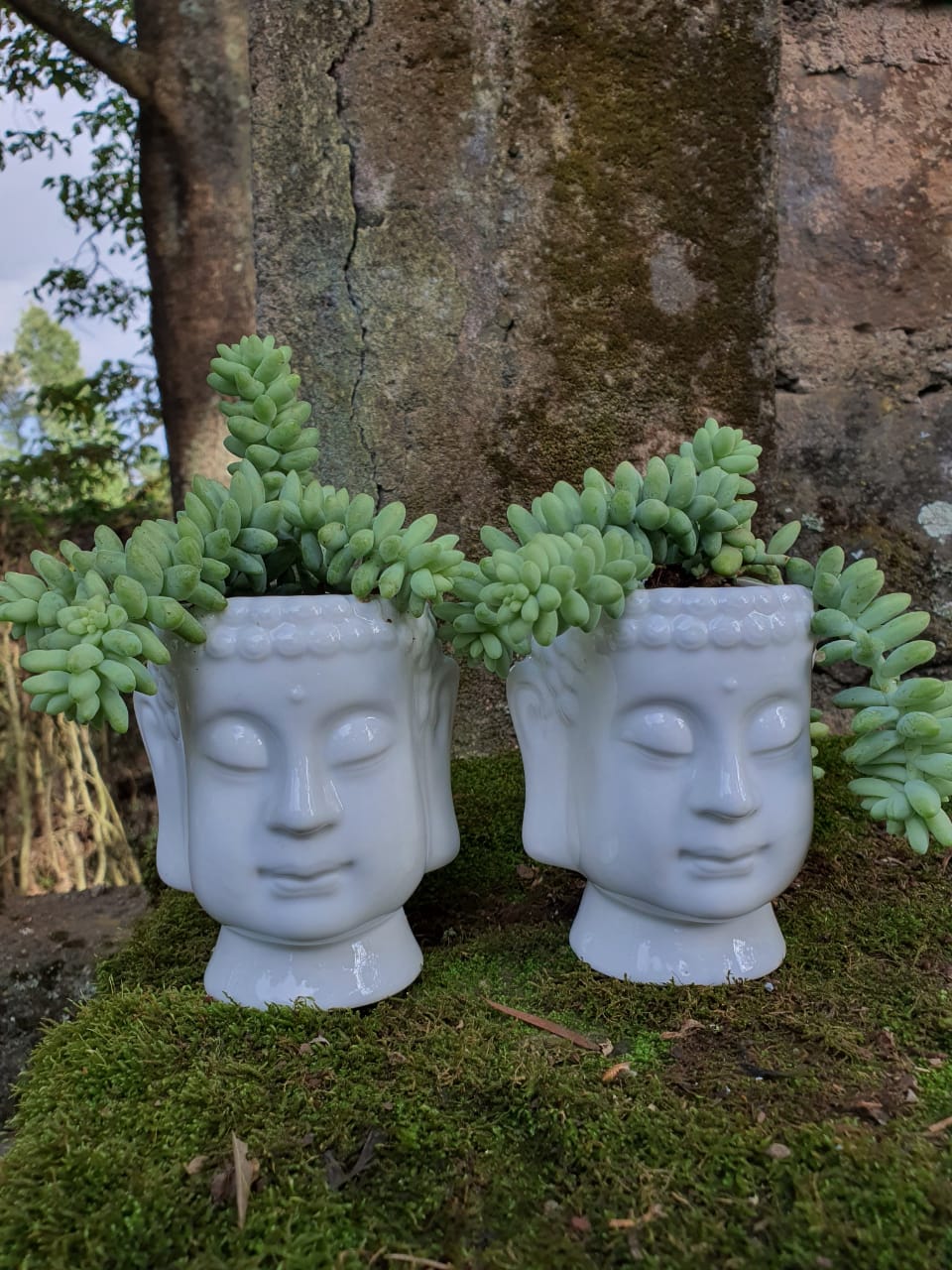 Buddha Ceramic Planter