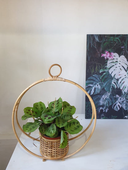 Rattan Planter Hanging