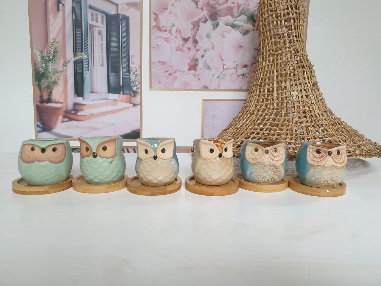 Pastel Owl Planter