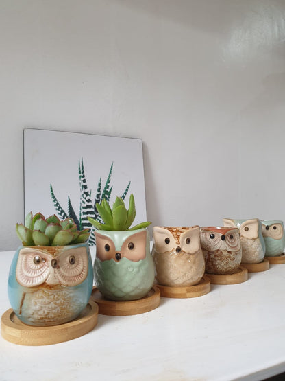 Pastel Owl Planter