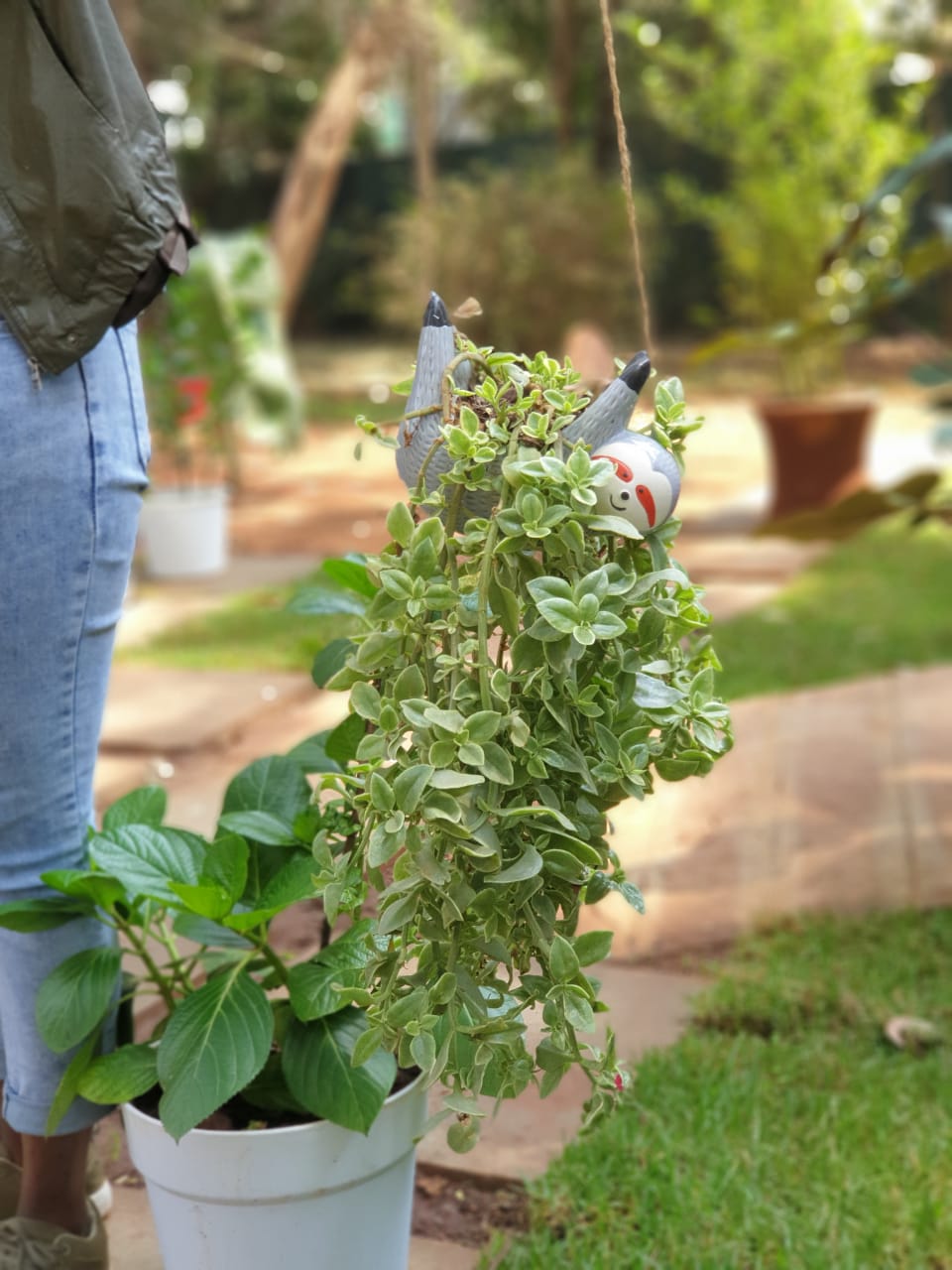 Sloth Planter