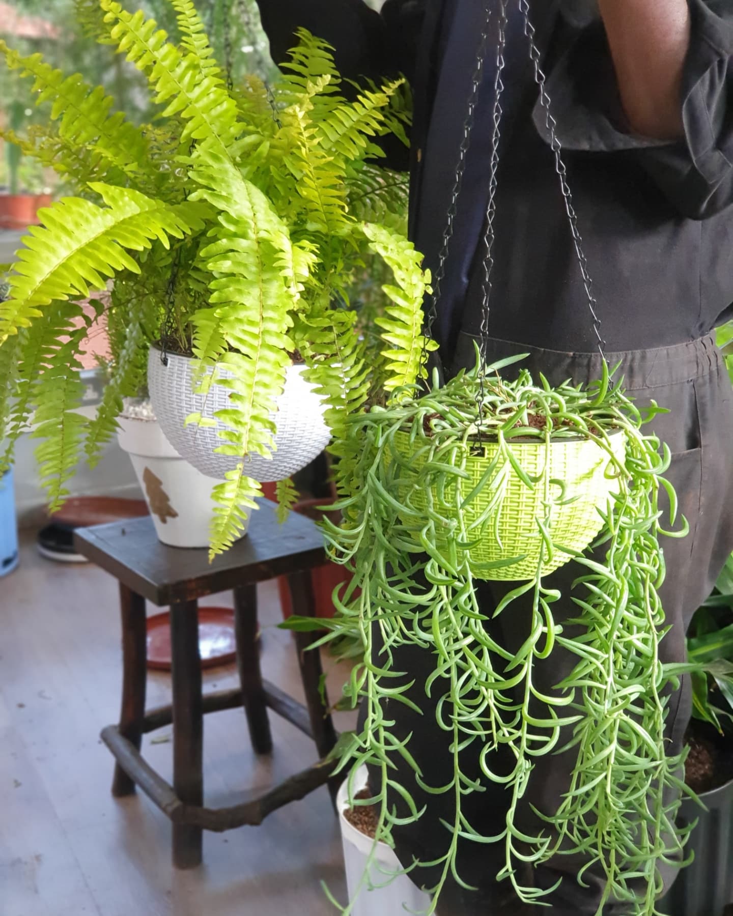 Plastic Hanging Planters