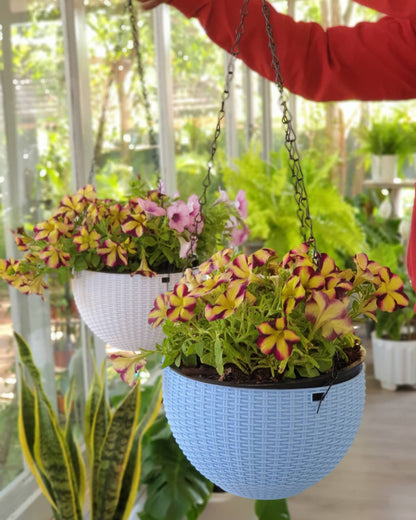 Plastic Hanging Planters