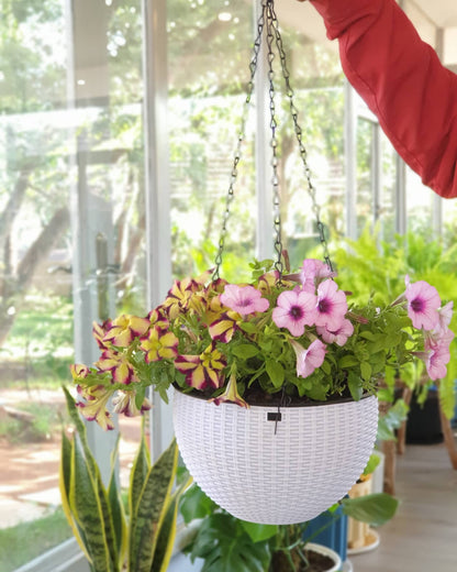 Plastic Hanging Planters