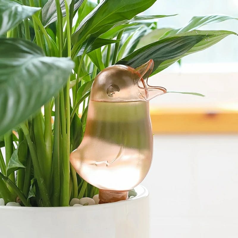 Birdie Drip Watering