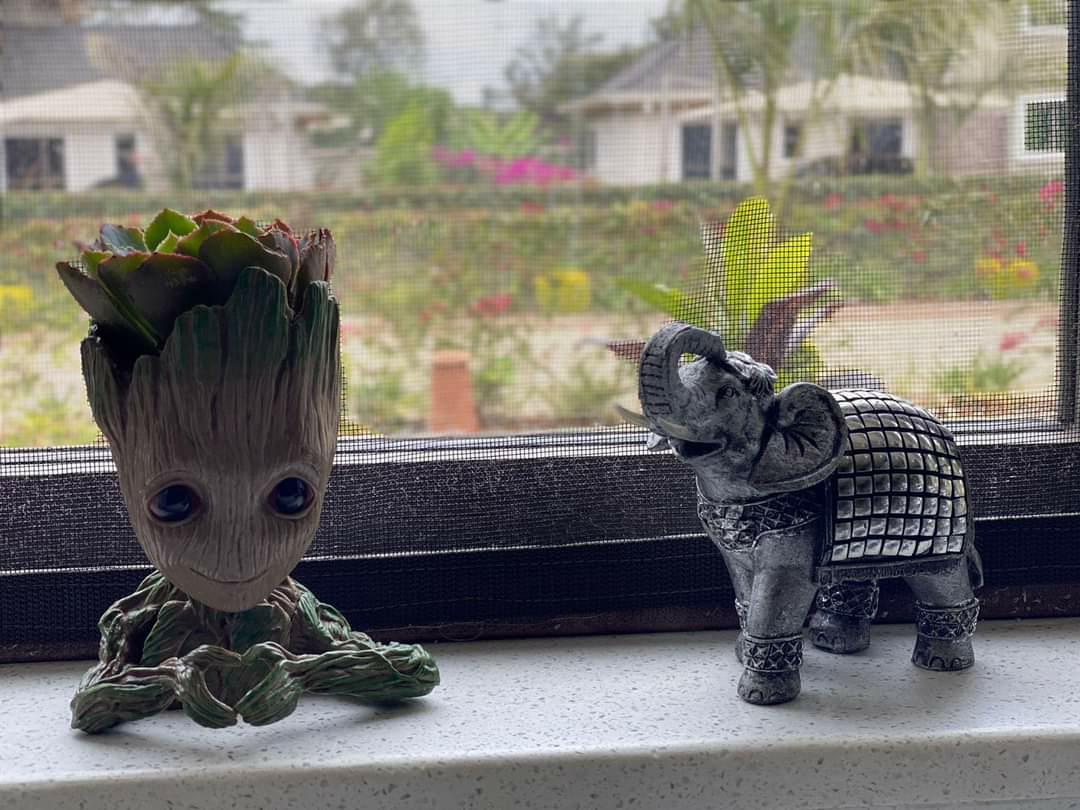 Baby Groot Planter